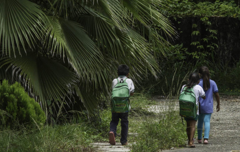 Exigen cerrar fábricas de aceite de palma en Chiapas