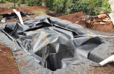 Biodigestores, una aternativa encaminada a la autogestión energética