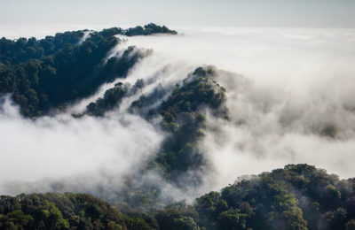 Minería amenaza al bosque más mágico del mundo