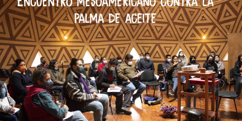 Video: Encuentro Mesoamericano contra la Palma de Aceite I