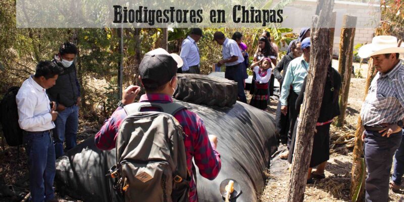 Red de Usuarias(os) de Biodigestores en Chiapas