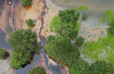 Derrame de hidrocarburos pone en riesgo la vida de comunidades indígenas y el ecosistema de la Cuenca Griljalva en Chiapas y Tabasco