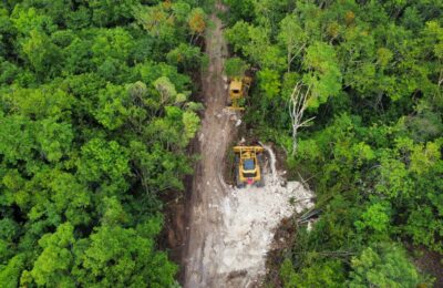 Denuncian devastación de área protegida por proyecto turístico en Quintana Roo