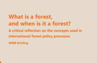 Informe: ¿Qué es un bosque y cuándo es un bosque? Una reflexión crítica sobre los conceptos utilizados en los procesos internacionales de políticas sobre bosques