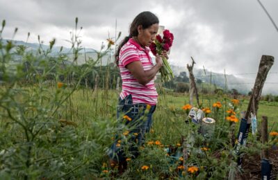 Informe Global Witness: Es muy urgente proteger a las defensoras y defensores de derechos humanos y la naturaleza