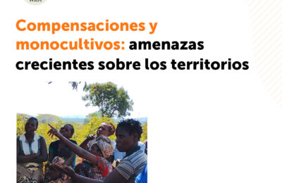 Boletín WRM 272: Compensaciones y monocultivos: amenazas crecientes sobre los territorios