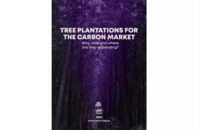 INFORME: Plantaciones de árboles para el mercado de carbono. ¿Por qué, cómo y dónde se expanden?