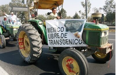 Estados Unidos y Canadá no deben obligar a los mexicanos a comer tortillas transgénica