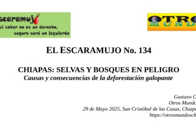 El Escaramujo 134: CHIAPAS: SELVAS Y BOSQUES EN PELIGRO