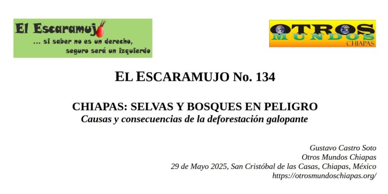 El Escaramujo 134: CHIAPAS: SELVAS Y BOSQUES EN PELIGRO
