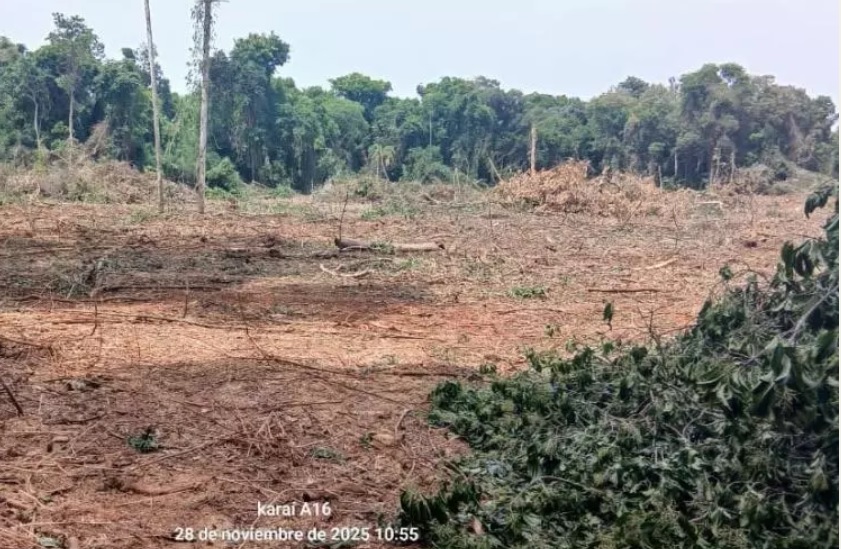 Argentina: Pedido de apoyo urgente para detener el desmonte en la Comunidad Guaraní Puente Quemado II