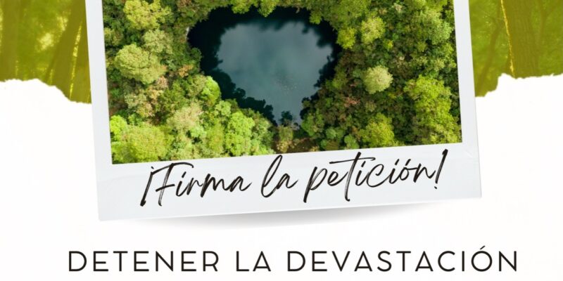 Petición: Queremos detener la devastación de los bosques y selvas de Chiapas
