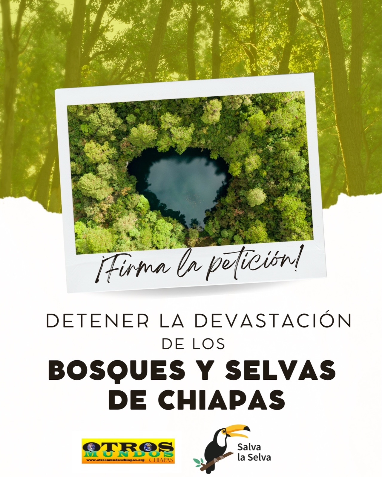 Petición: Queremos detener la devastación de los bosques y selvas de Chiapas