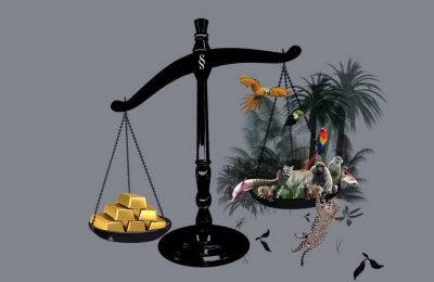 Petición: Dejen de perseguir a defensoras y defensores de la naturaleza en Ecuador